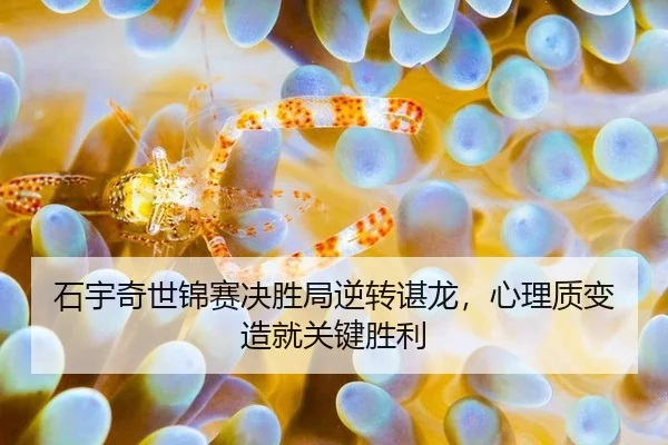 shi-yu-qi-shi-jin-sai-jue-sheng-ju-ni-zhuan-chen-long-xin-li-zhi-bian-zao-jiu-guan-jian-sheng-li-3-427.jpg