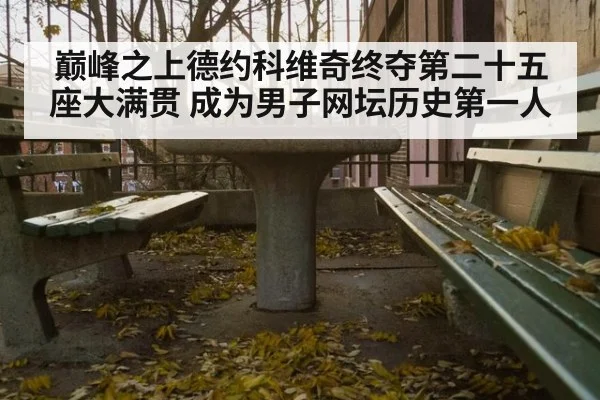 巅峰之上德约科维奇终夺第二十五座大满贯 成为男子网坛历史第一人（6686.com）