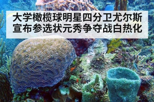 大学橄榄球明星四分卫尤尔斯宣布参选状元秀争夺战白热化